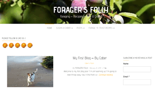 Foragers Folly