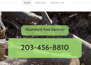 Tree Service Stamford CT