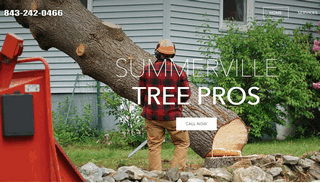 Tree Service Summerville SC