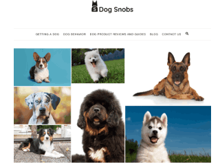 The Dog Snobs