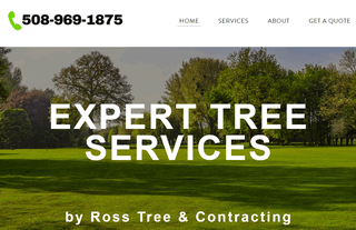 Tree Service Framingham MA